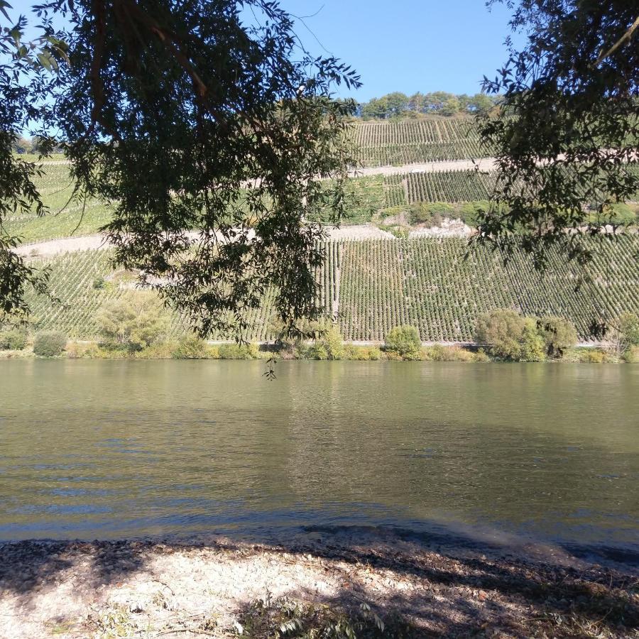 Fewo Sonnenlay - Apartments An Der Mosel Brauneberg Ngoại thất bức ảnh